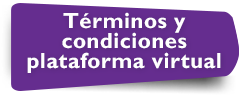T�rminos y condiciones plataforma virtual