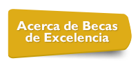 Acerca de Becas de Excelencia